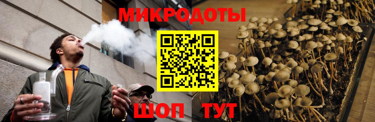 Галлюциногенные грибы Psilocybine cubensis Губкин