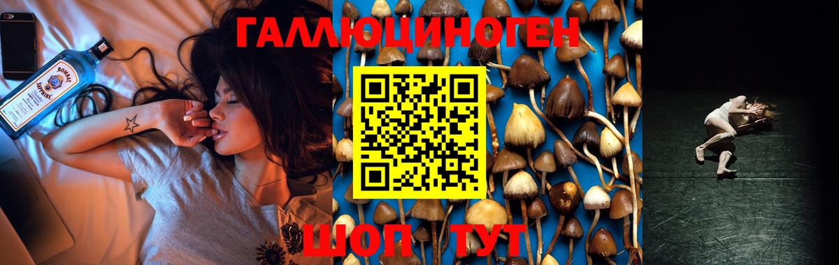 Галлюциногенные грибы мухоморы  Вход с VPN  купить закладку  Губкин 