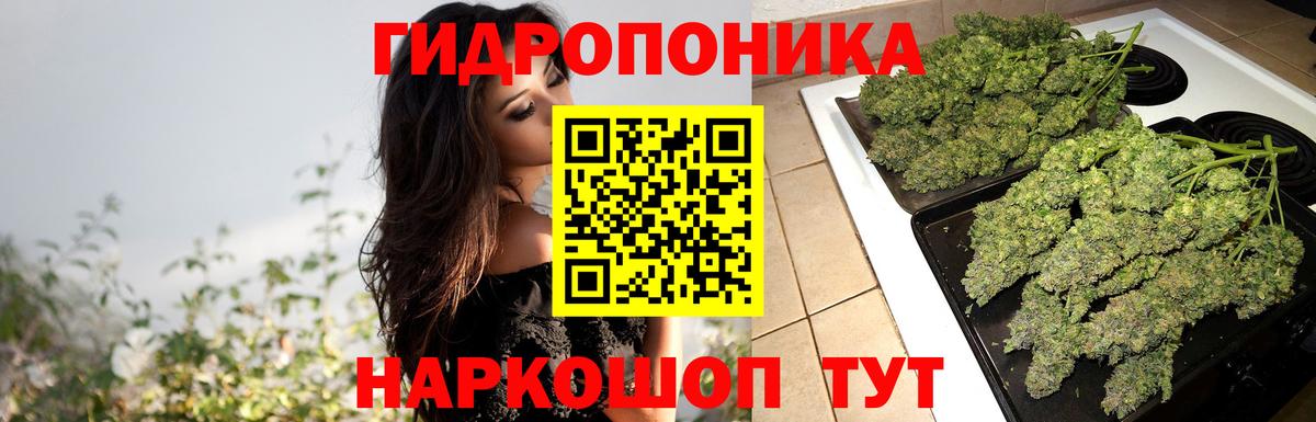 Бошки Шишки Amnesia  Вход с VPN  Каннабис сатива  Канабис ГИДРОПОН  Губкин 